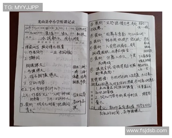 张宁的奋斗之路：从普通学生到行业领军人物的成长故事